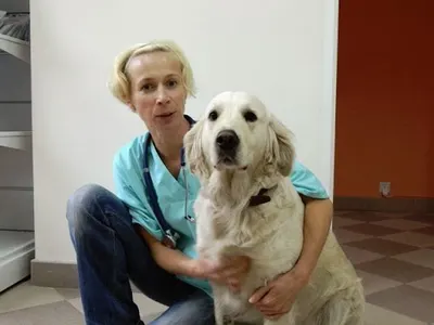 ALFA Gabinet Weterynaryjny Sylwia Rutkowska